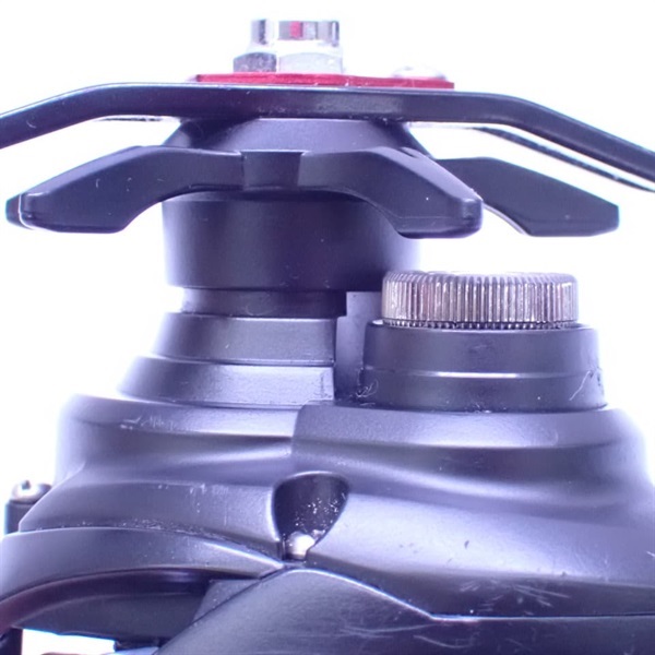 １９タトゥーラＴＷ１００ＳＨ